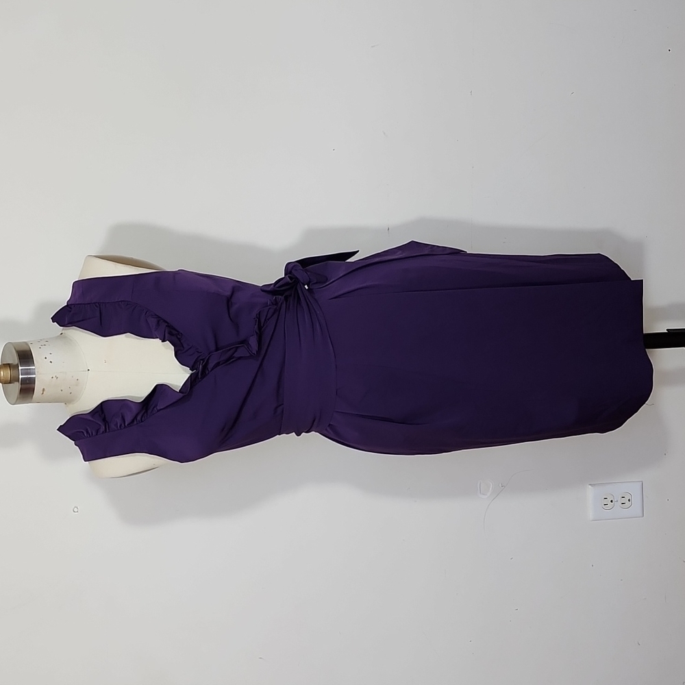 Diane Von Furstenberg Purple V-Neck Ruffled  Wrap Dress Size 2